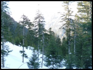 P1020320